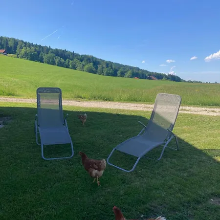 Mondsee-irrsee Apartamento Tiefgraben