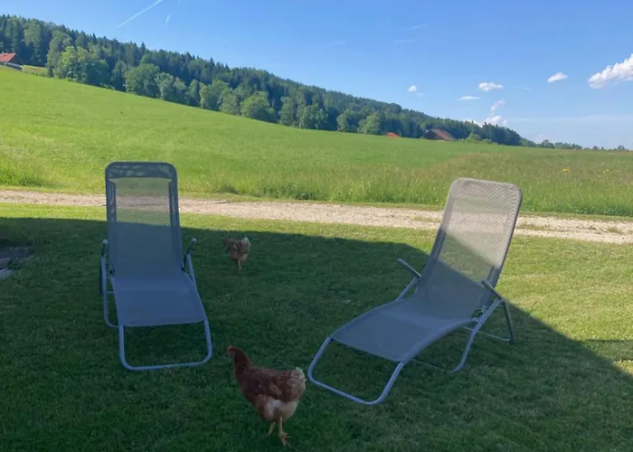 Mondsee-irrsee Appartamento Tiefgraben